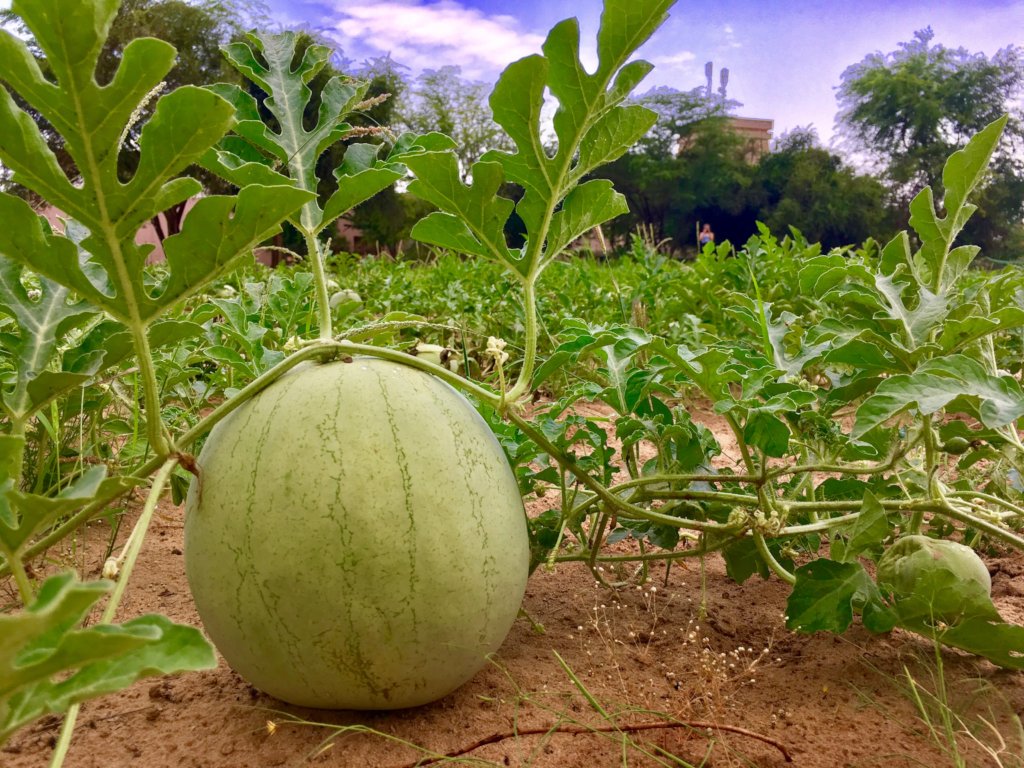 Capacity Building for Young Entrepreneurs