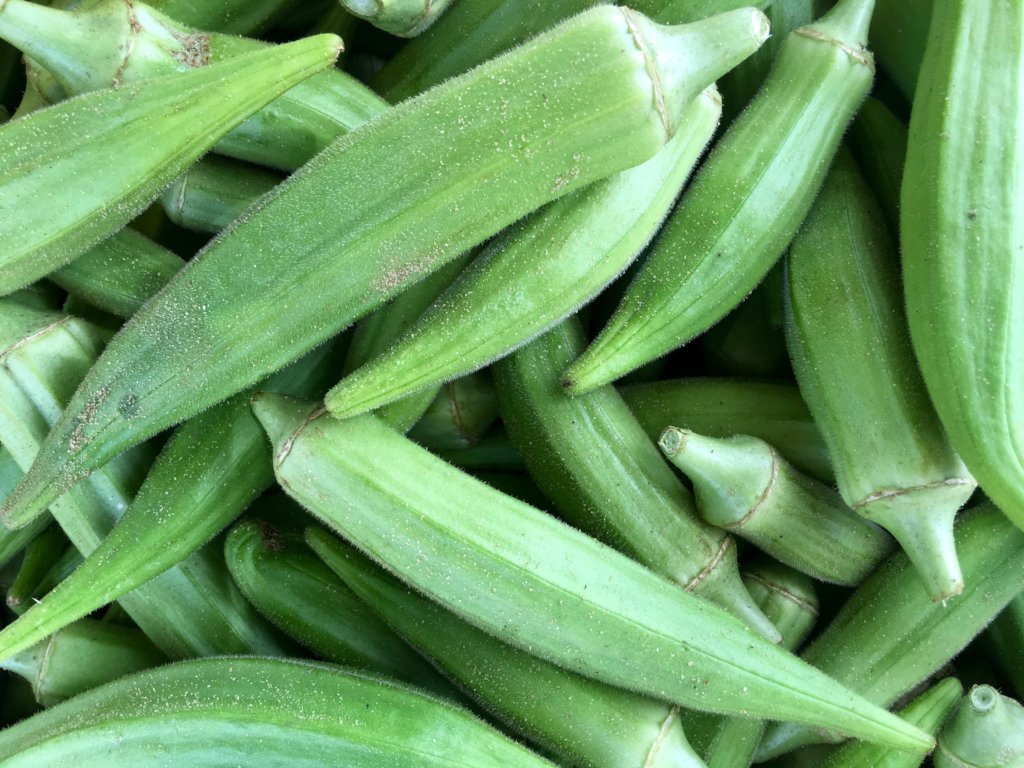 Capacity Building for Young Entrepreneurs