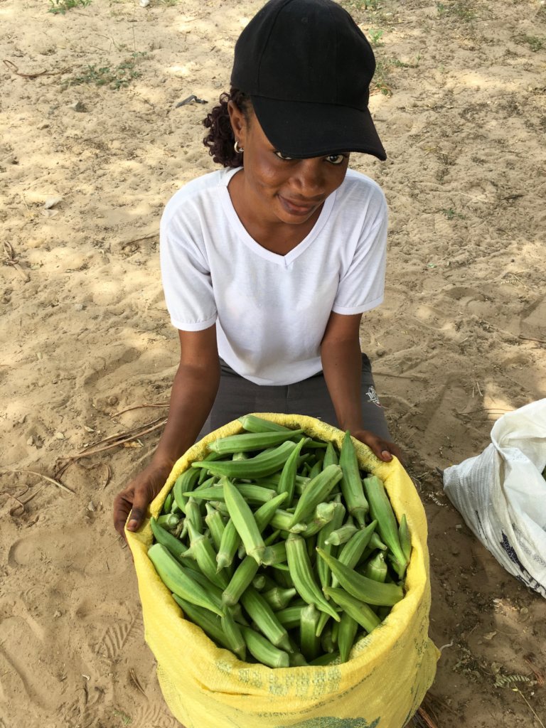 Capacity Building for Young Entrepreneurs