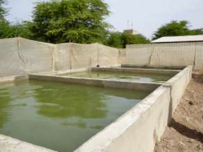 The Water Basin