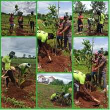 GO GREEN 250 fruit saplings planted at campus