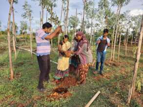 World Environment Day