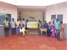 Income Generating Project