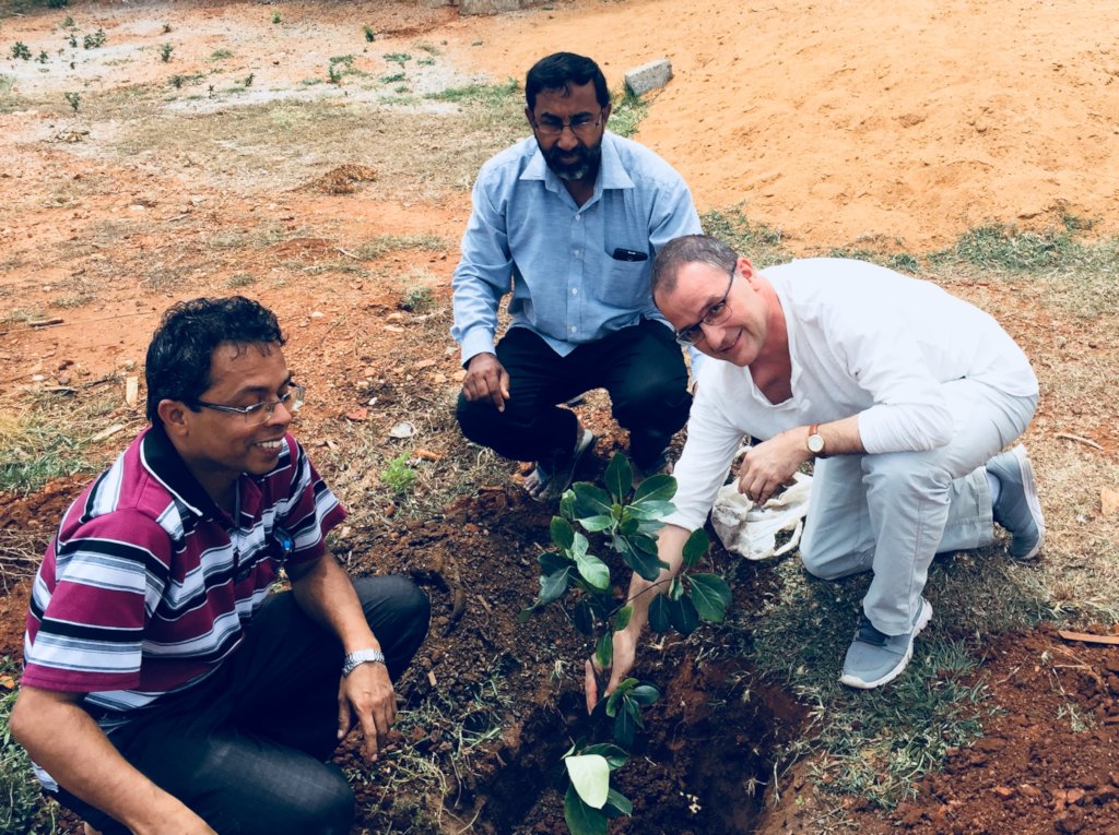 Planting of a life which gives comfort....