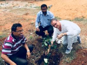 Planting of a life which gives comfort....