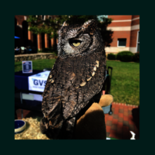 Soaking up the sun at UNC's Wellness Fair