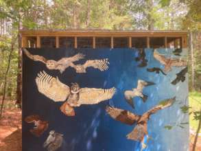 Mural (in progress!) on Bella's enclosure