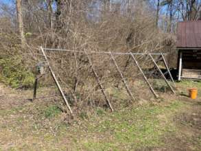 The garden plot, before we began weeding...