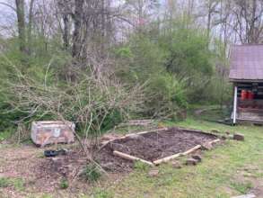 Making progress! The beauty berry tree stays. :)