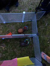 Shelly and Vinny at the Finish Line