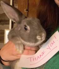 Thank you from Parsley!