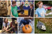 The Gail E. Abrams Wildlife Ambassador Fund