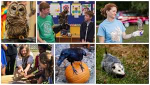 The Gail E. Abrams Wildlife Ambassador Fund