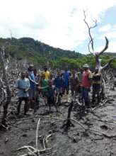 Cyclone-damaged site