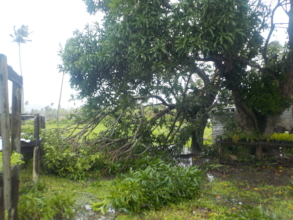 Damage left by the 2020 Harold Cyclone