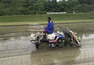 He experienced rice planting by machine