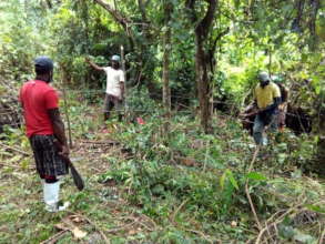 Villagers land preparing for taro.