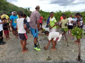 Coastal school children planting mangroves
