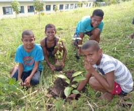 Hoping this planting will spread to the community