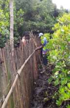 Locals working together to installing the fence.