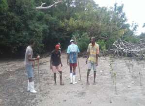 The locals engaging in the coastal protection.