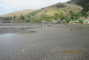 The proposed mangrove planting site.