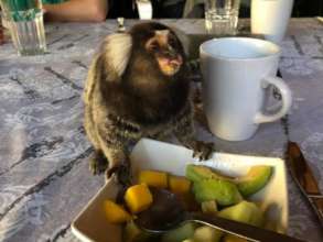 Thor having breakfast
