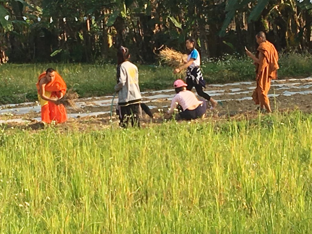 Youth Safety Training to End Risk Migration