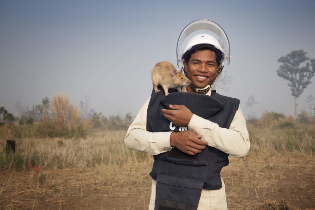 Goldman Sachs HeroRAT Adoption