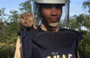 Goldman Sachs HeroRAT Adoption