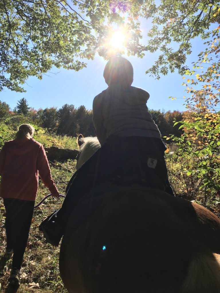 Minds Heal with Horses' Help!