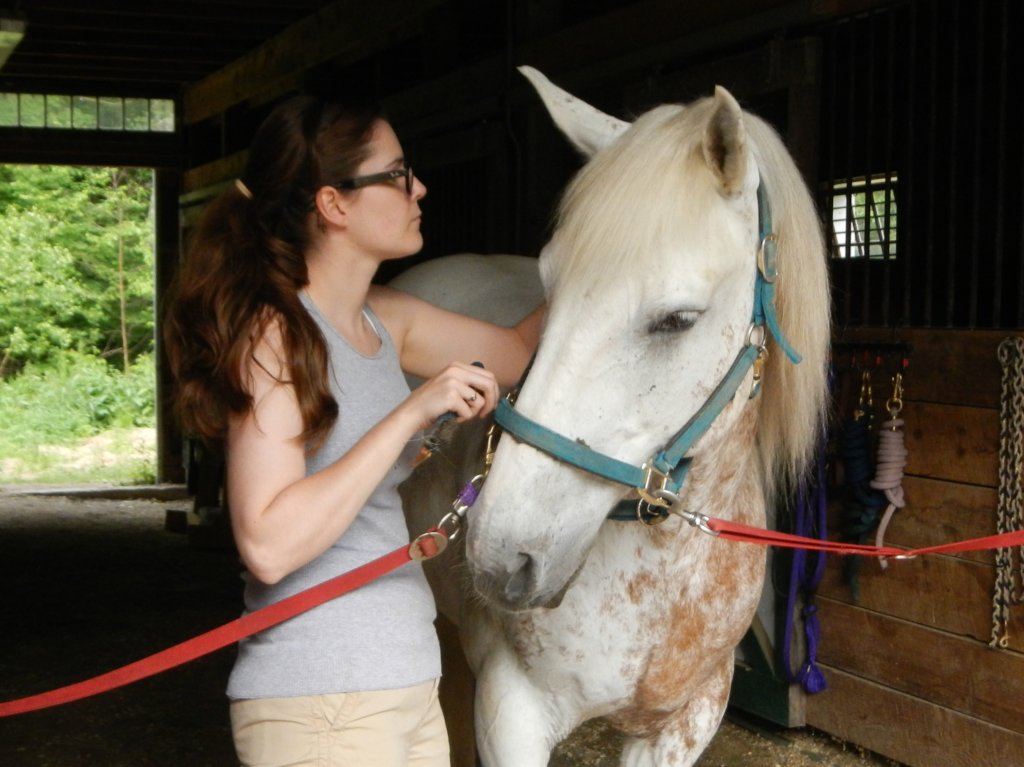 Minds Heal with Horses' Help!