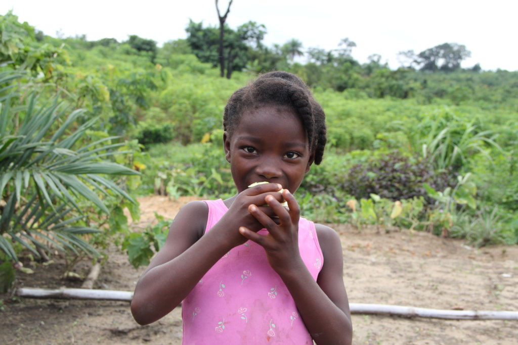 Help Liberian Farmers Save the Rainforest