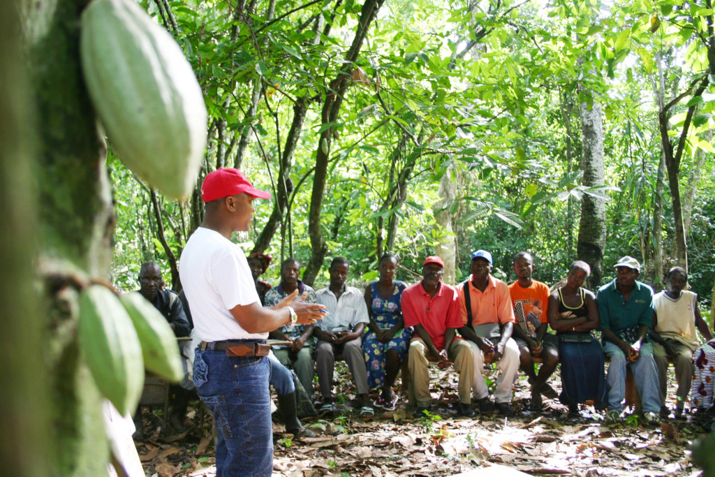 Help Liberian Farmers Save the Rainforest