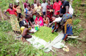 Help Liberian Farmers Save the Rainforest