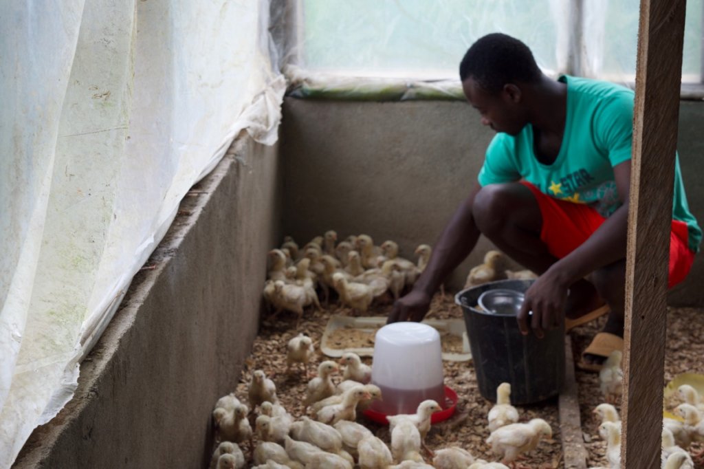 Help Collins take care of himself