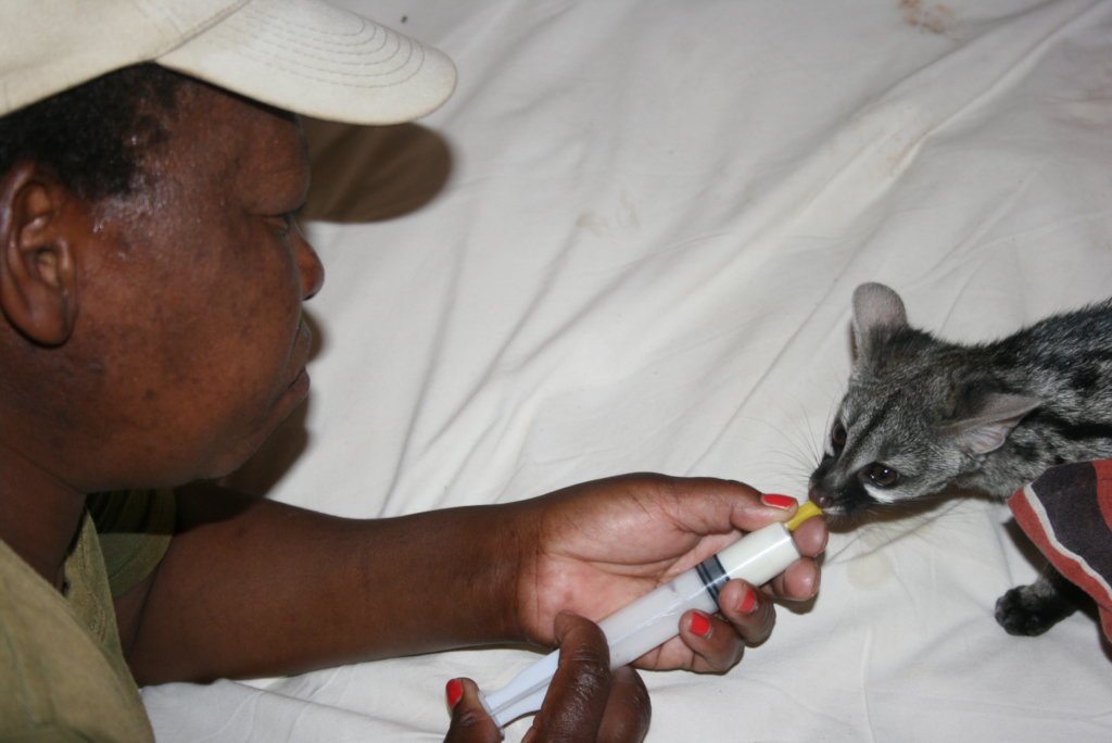 Education in conservation for 2000 kids