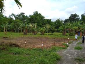 The Office and Clinic building