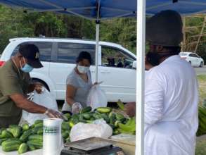Farm Tiendas: Food Security Systems During Covid!
