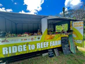 Our Farm Tienda's Are A Network of Food Secruity