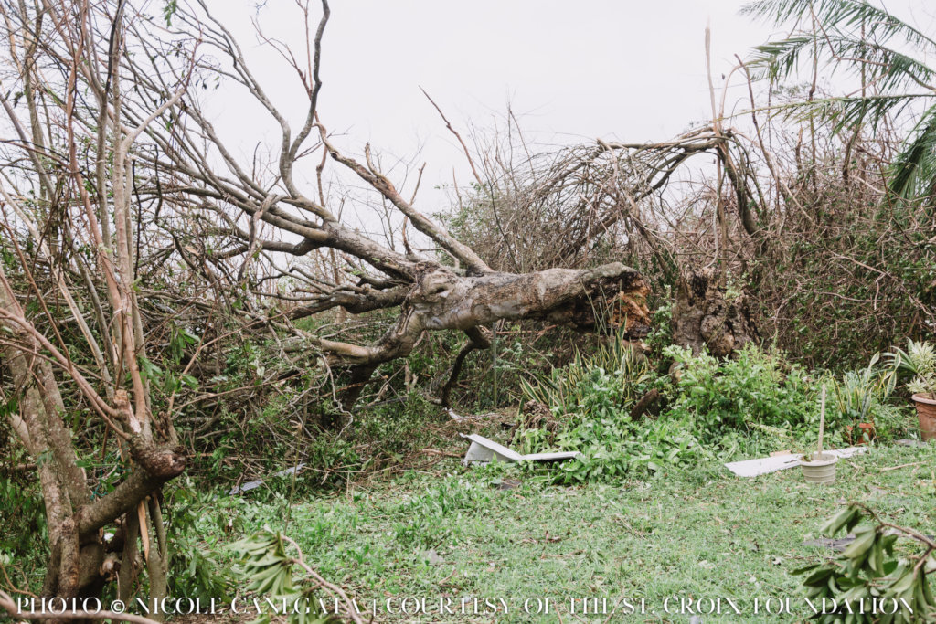 St. Croix Foundation CARE Fund