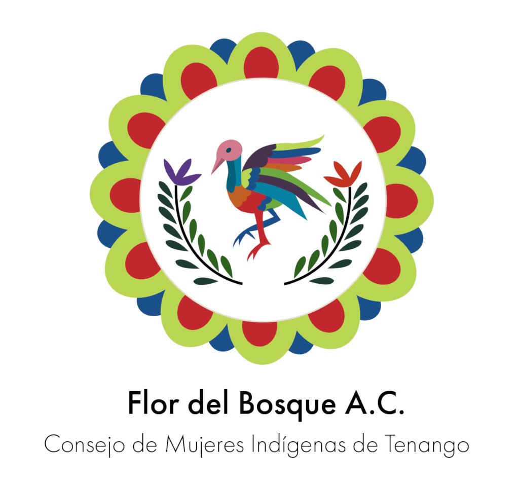 Seed Fund Indigenous Women Defeating Poverty