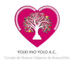 New Logo_NGO "Yolki Ino Yolo"