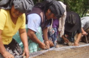 Support Grassroots Earthquake Recovery in Mexico