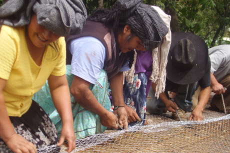 Support Grassroots Earthquake Recovery in Mexico