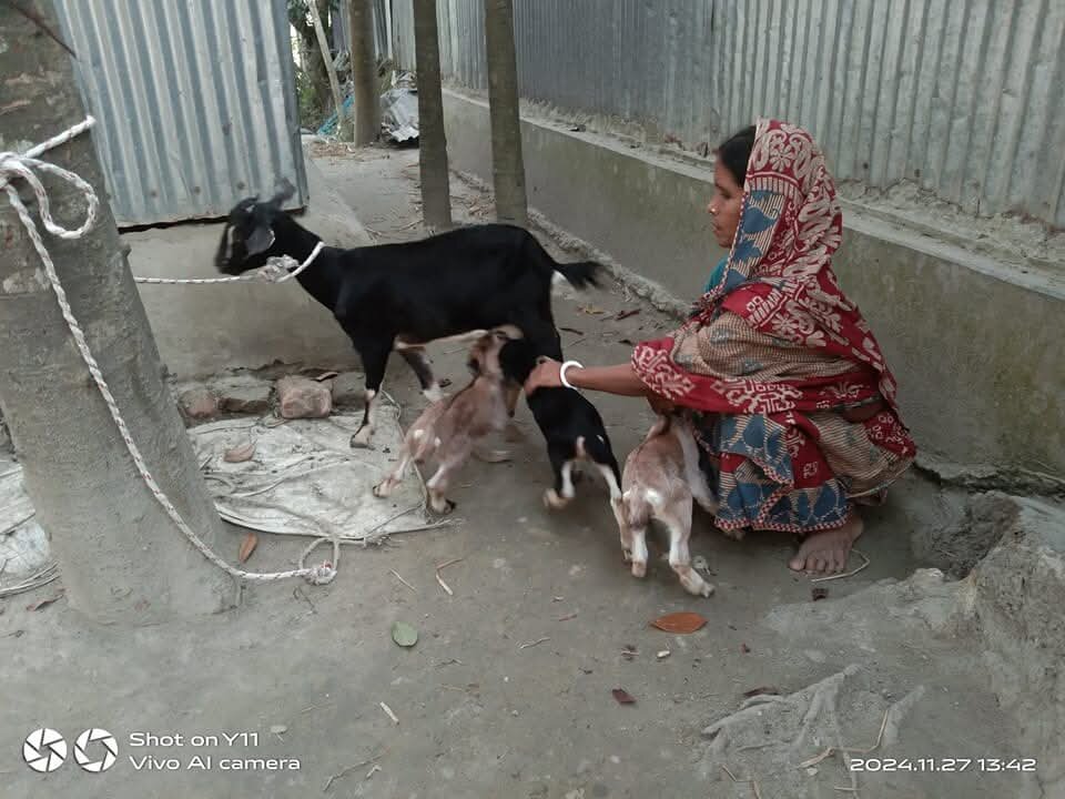 Nursing her Goat