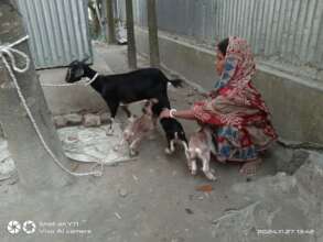 Nursing her Goat