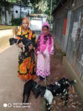 Goat farming with her mother