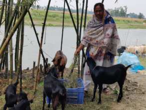 Happy & Empowering for goat farming