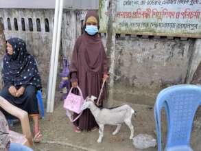 Provide Goat for Home based farming